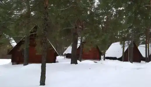 Берлога - 2
