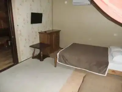 фламинго - 69