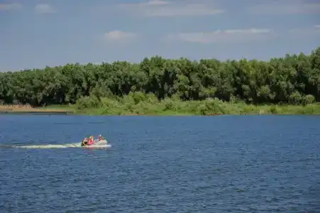 Донское ранчо - 17