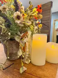 Три совы - 50