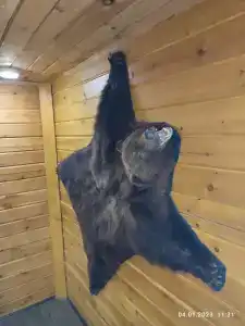 Сердце Сибири - 78