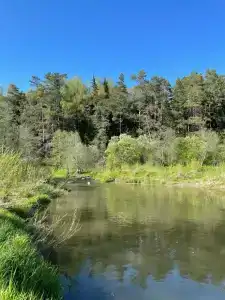 Место силы - 91