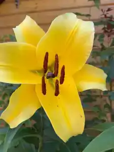 Азов Бриз - 24