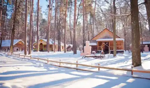 Лесная сказка - 1