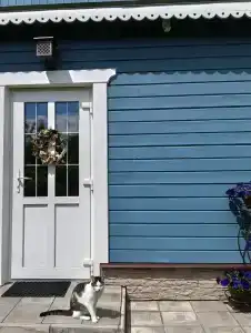 Петров Дом - 15