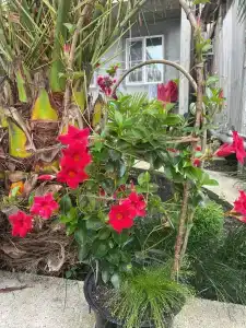 Афродита - 16