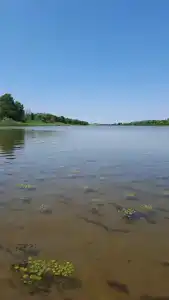 На крючке - 10