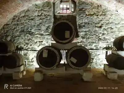 Старая Сарепта - 10