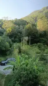 Предгорье Красной Поляны - 1