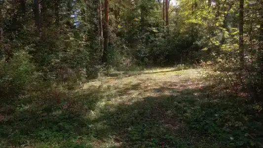 Улыбышево - 77