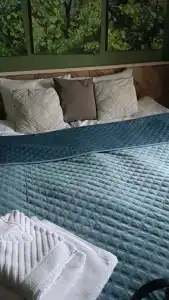 Мечтатели - 50