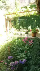 Симеиз-тур - 63