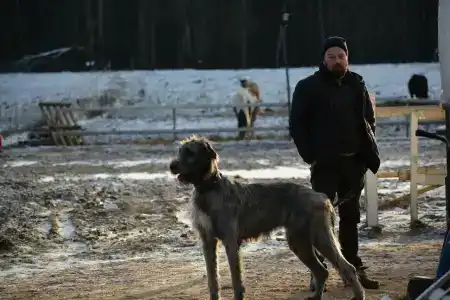 КСК Светозар - 26