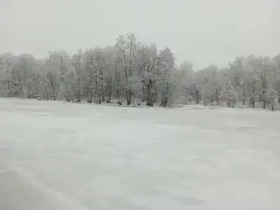 Улыбышево - 87