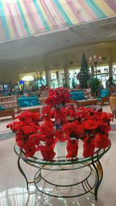 Ali Baba Palace -Families and Couples Only- - 78