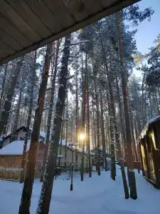 Чайка - 45