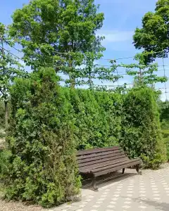 Великовечное - 24