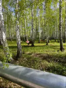 Молодежная - 24
