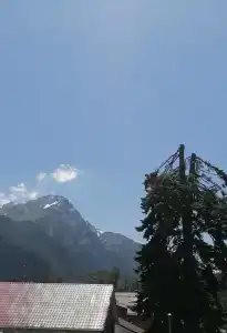 Звезда - 83