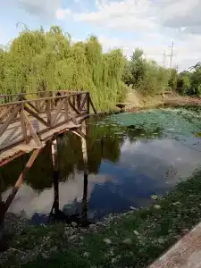 Афродита - 73