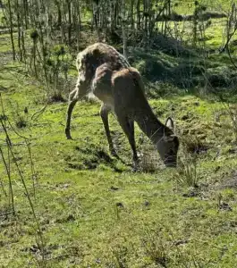 Спальный корпус Коверши - 77