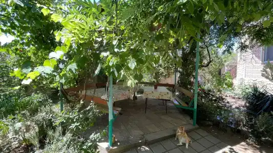 КристОля - 68