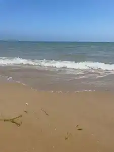 Джумейра - 68