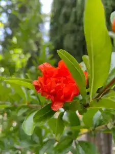 на море хочу - 18