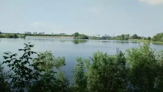 Пикниковый рай - 23