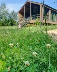 Хвойный Лес - 58