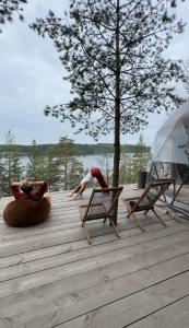 Villy Uley Karelia (Вили Улей Карелия) - 80