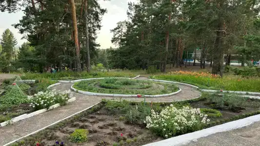 Сура - 13