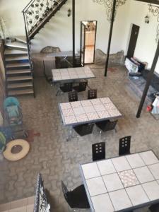 Дельфиния - 55