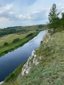 Лесотерапия - 24
