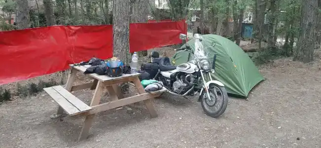 Сосновый берег+ - 34