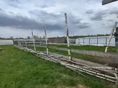 12 Дубов - 24