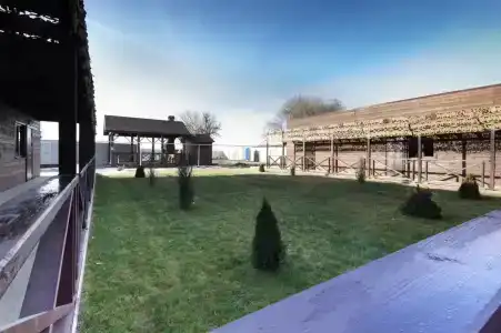 Цветок Лотоса - 3