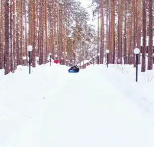 Иволга - 30