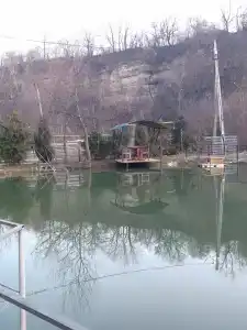 Золотая рыбка - 16
