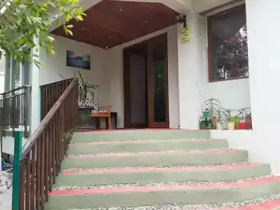 Caretta Caretta - 23