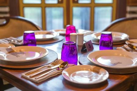 Narain Niwas Palace - 26