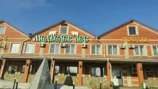 Медведев лес - 8