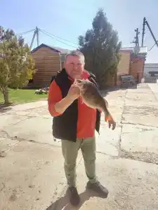 Промысловая - 67