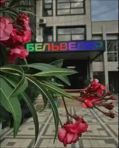 Бельведер - 0