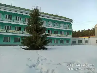 Алатырь - 80