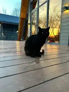 Заимка Узалы - 36