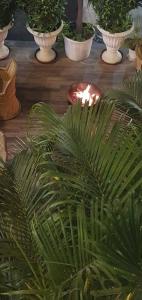 Dodas Palace by ShriGos - 26