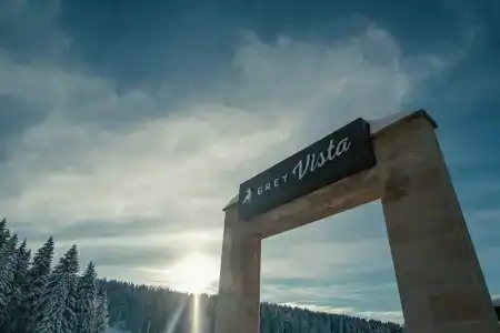 Viceroy - 7