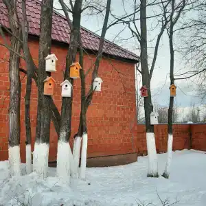 Илевники - 11