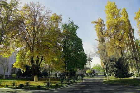 Residence Park - 20